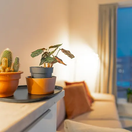 Northern Light - Skir Ocean View Apartment